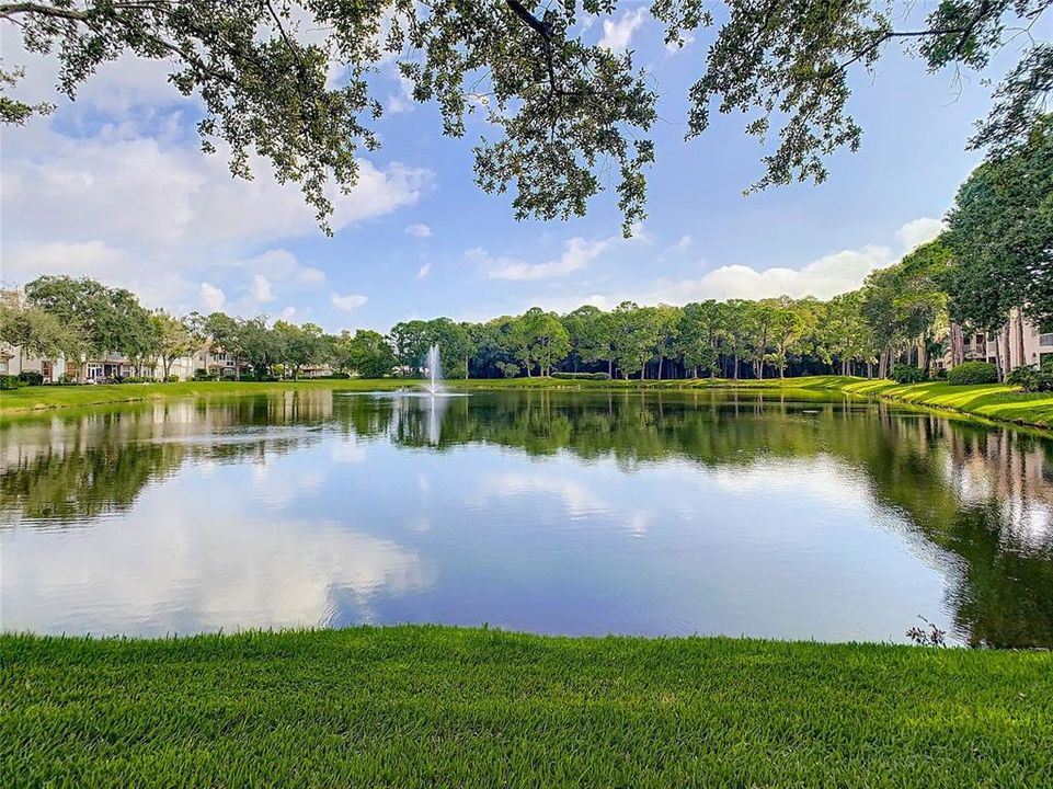 Full Pond Frontage