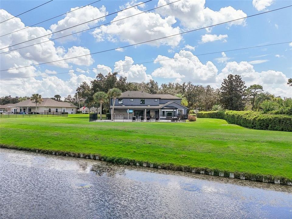 Pond view