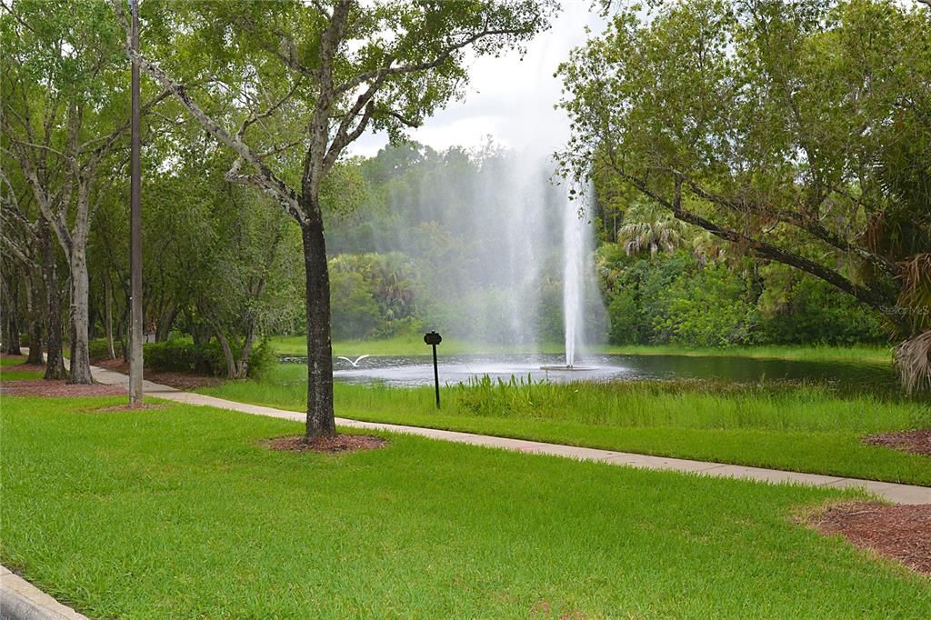 Tree lined walkway w/fountain