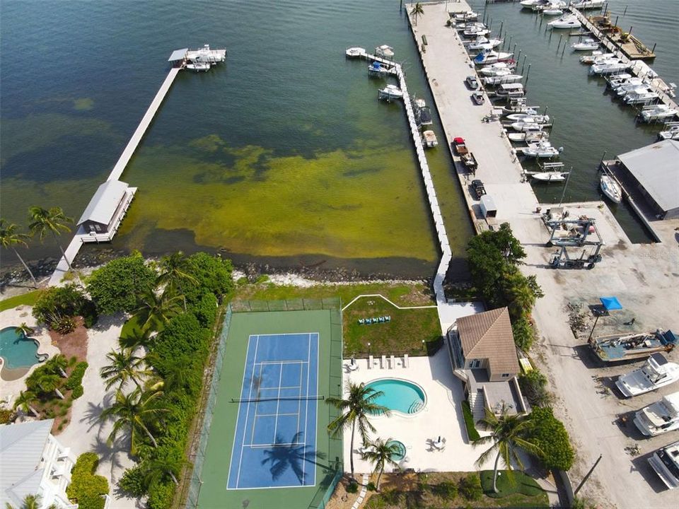 aerial of community swimming pool