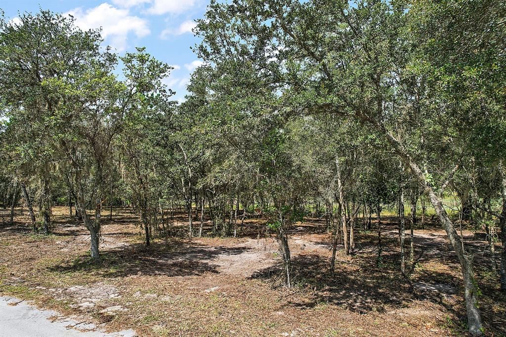 For Sale: $87,500 (1.37 acres)