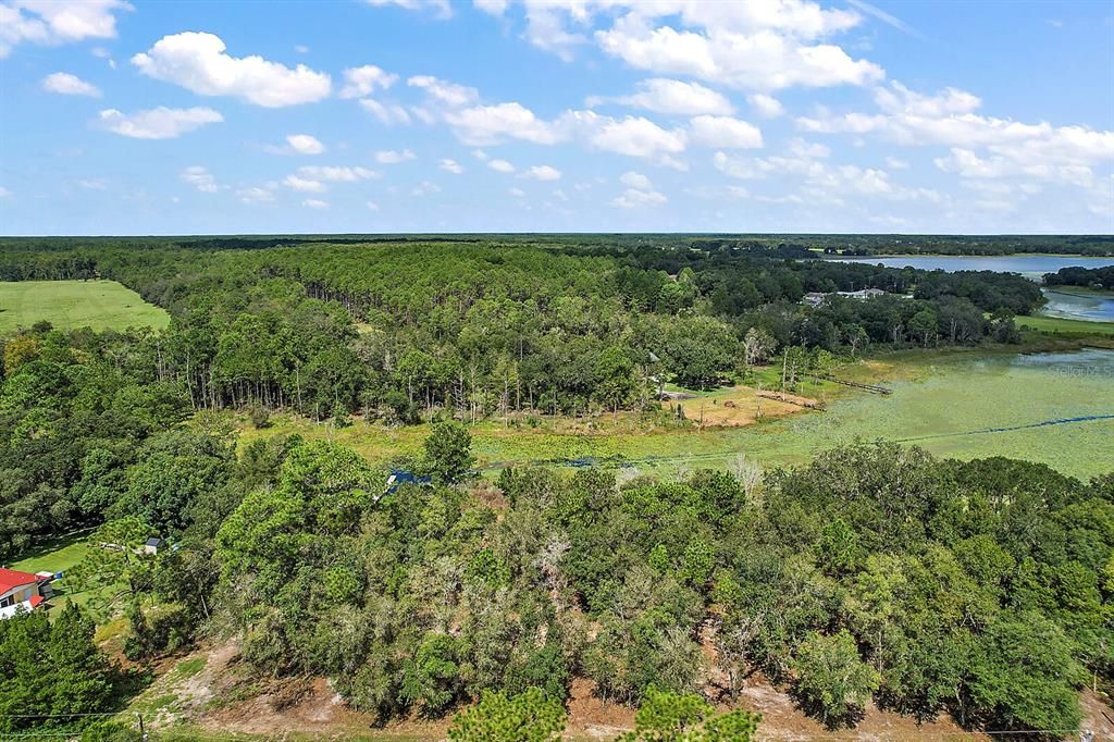 На продажу: $87,500 (1.37 acres)