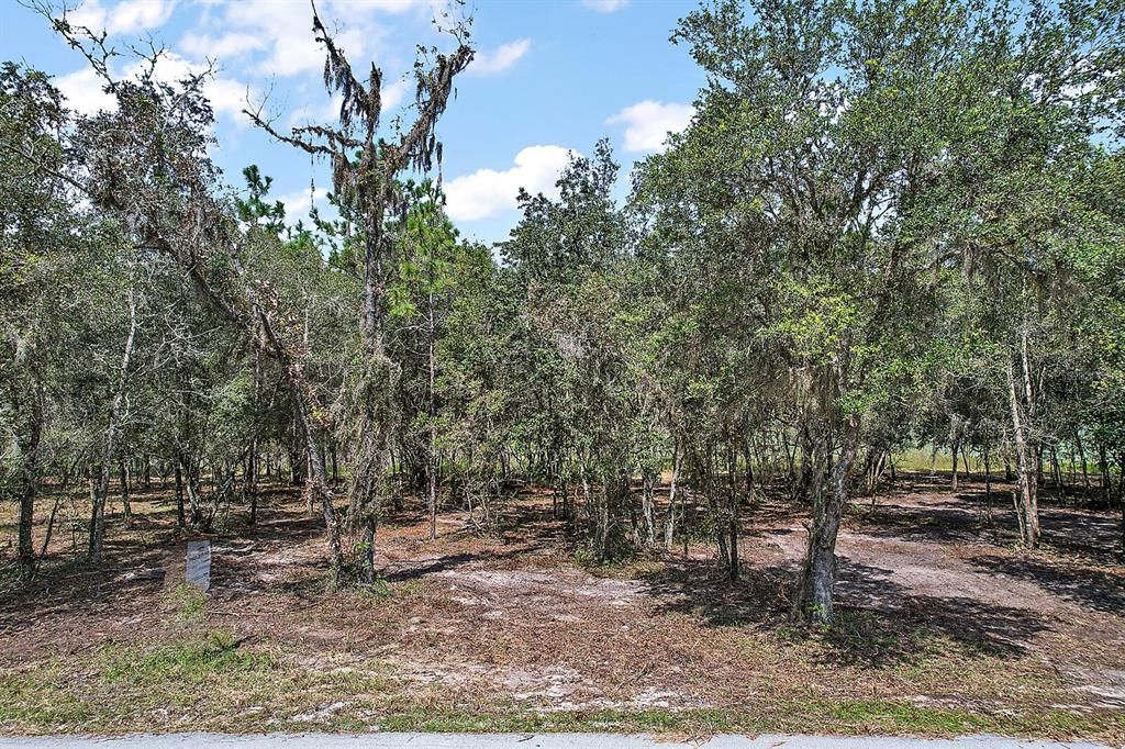 For Sale: $87,500 (1.37 acres)