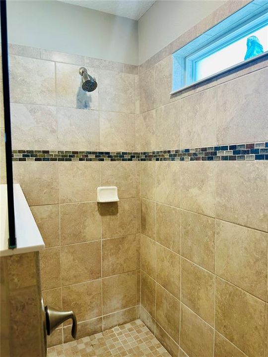 master bath step down walk in shower