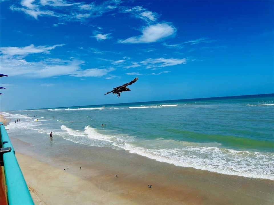 Public beaches with life guards weather it is sun tanning or swimming