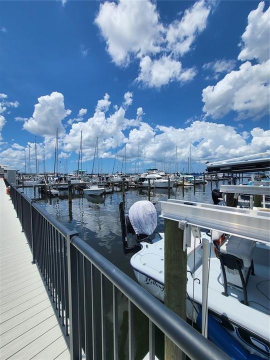 Regatta Pointe Marina