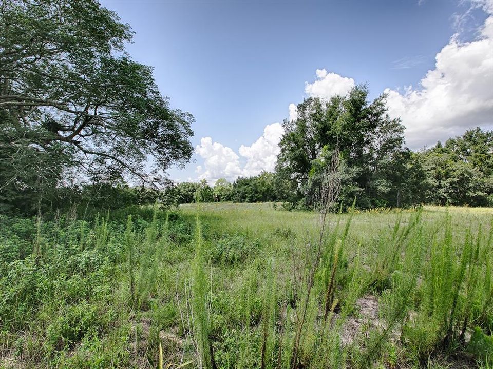 For Sale: $390,000 (5.10 acres)