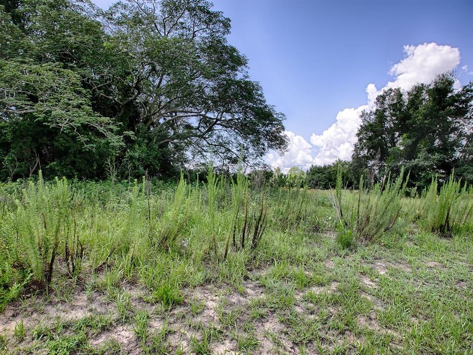 En Venta: $390,000 (5.10 acres)