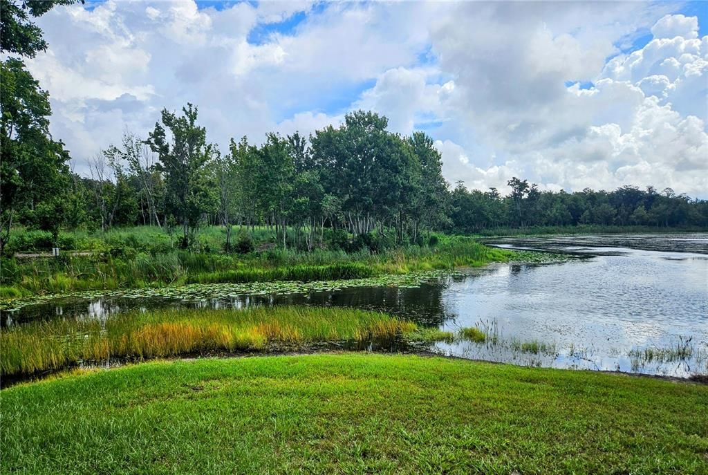 Creek opens into lake.  Property has views of both.