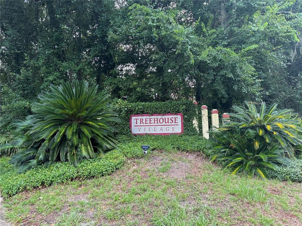 Welcome to Treehouse!