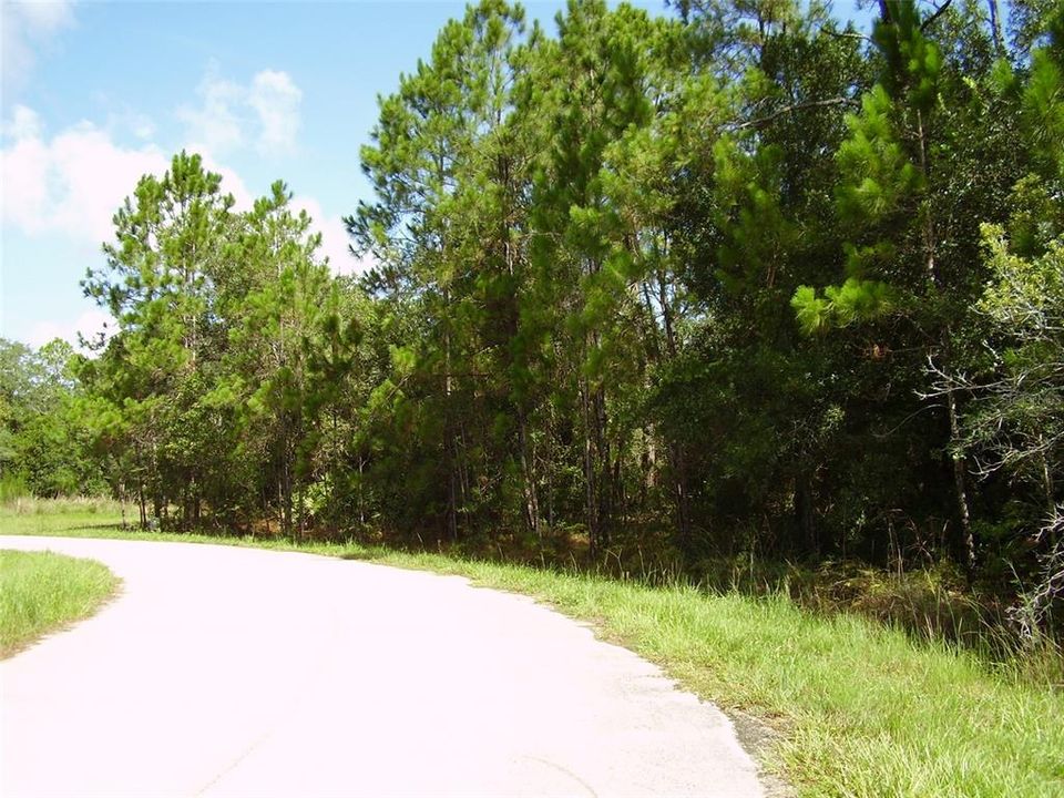 En Venta: $49,999 (0.44 acres)