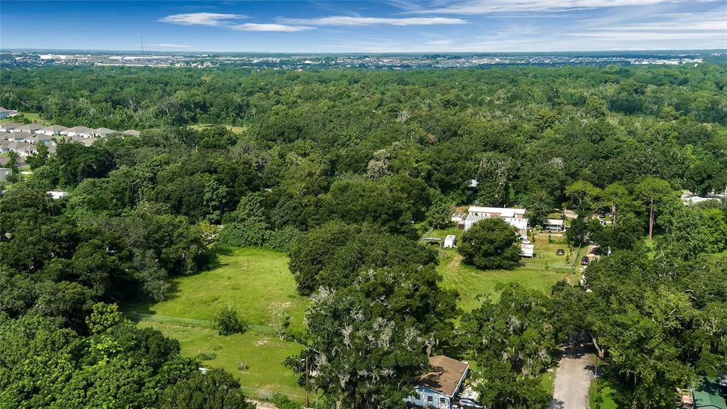 Surrounded by mature trees