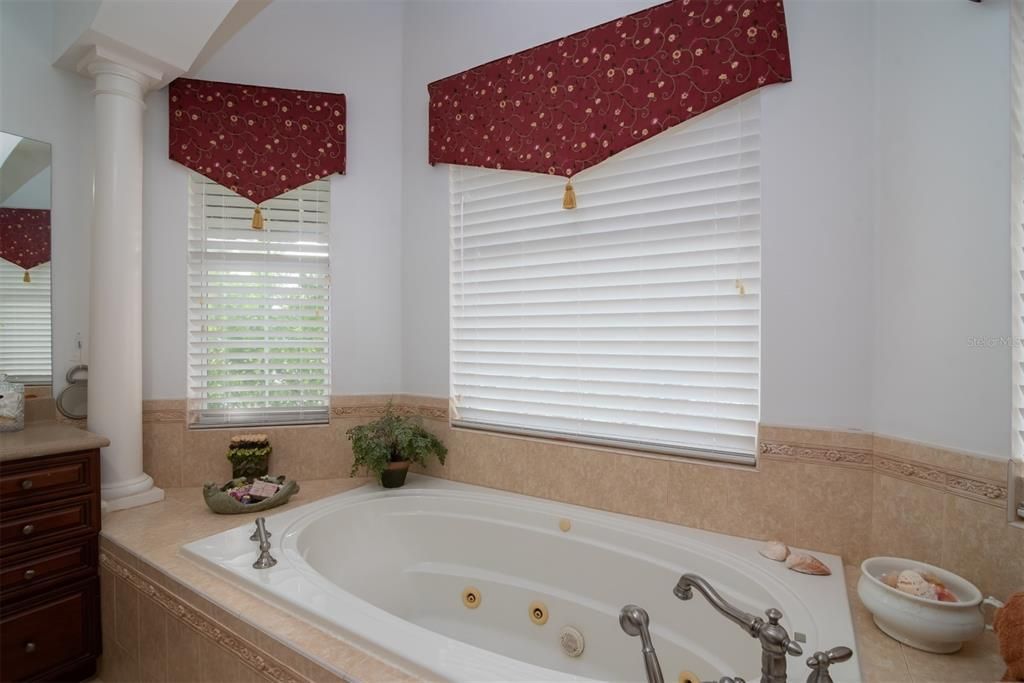 The master bath has a jetted tub in the bay window area.