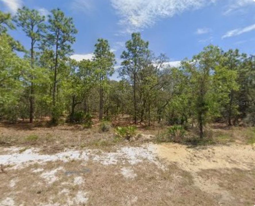 Active With Contract: $29,900 (0.28 acres)