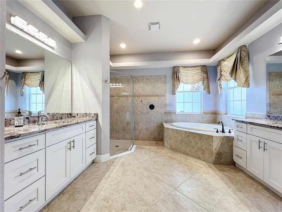 Twin vanities, walk-in shower & separate tub.