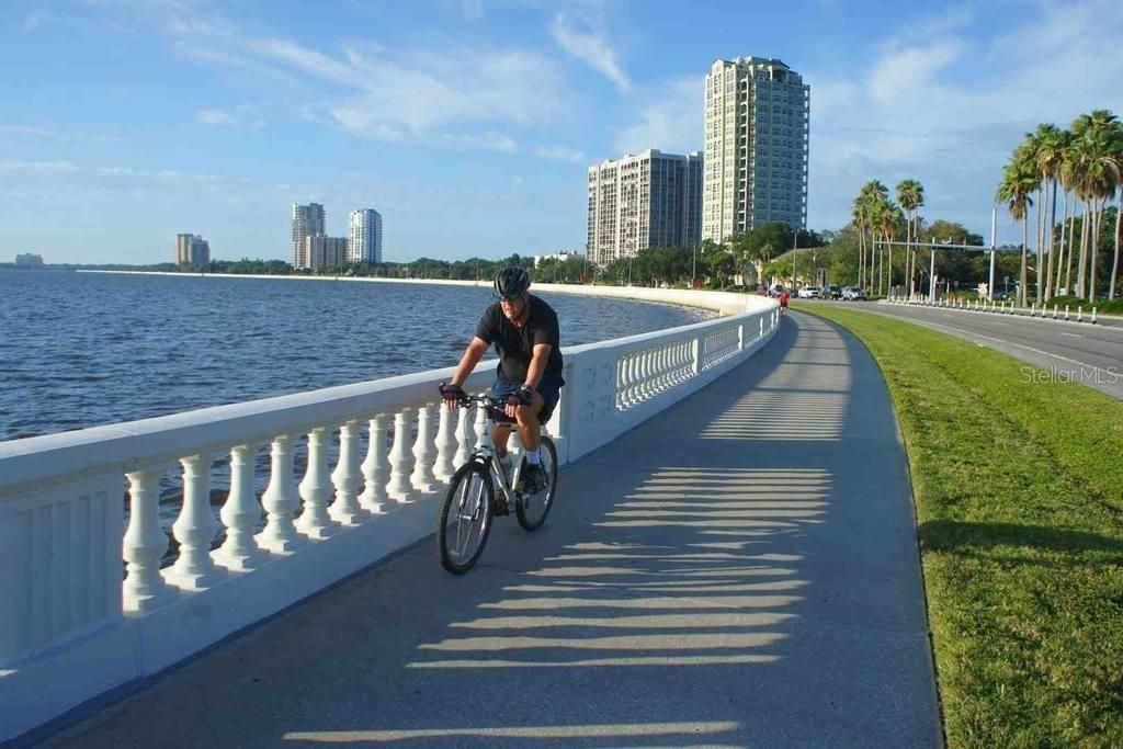 Bayshore Blvd