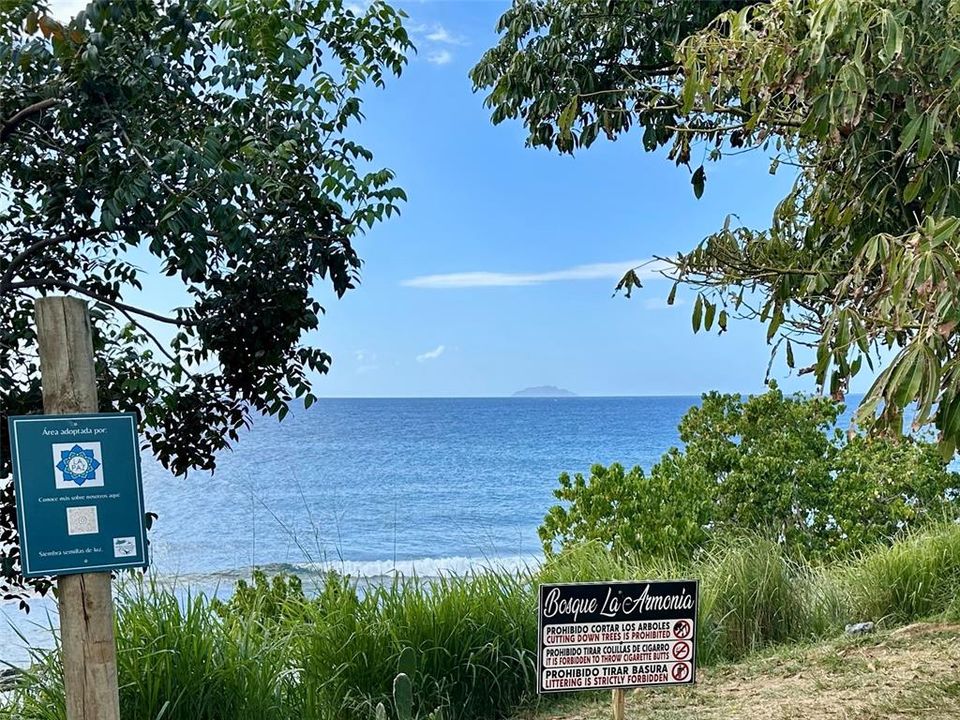 На продажу: $325,000 (4.11 acres)