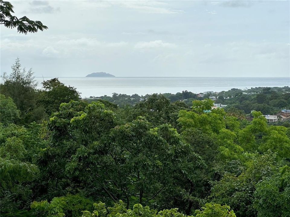 На продажу: $325,000 (4.11 acres)