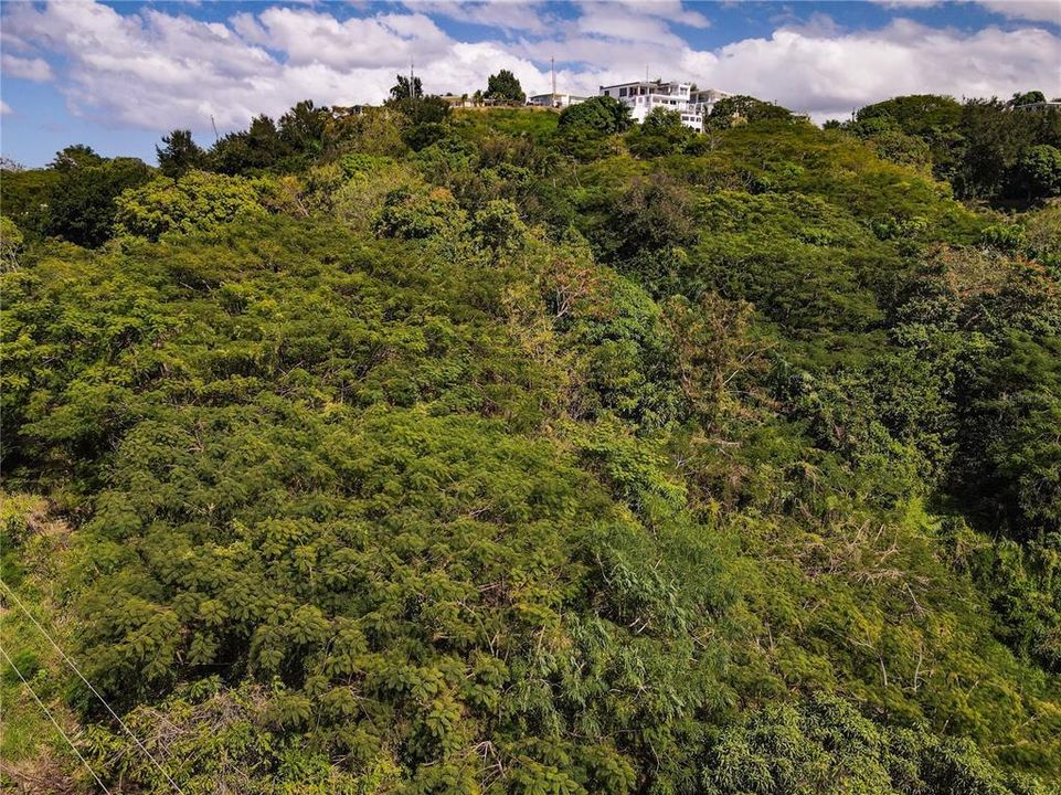 На продажу: $325,000 (4.11 acres)