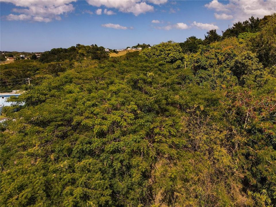 На продажу: $325,000 (4.11 acres)