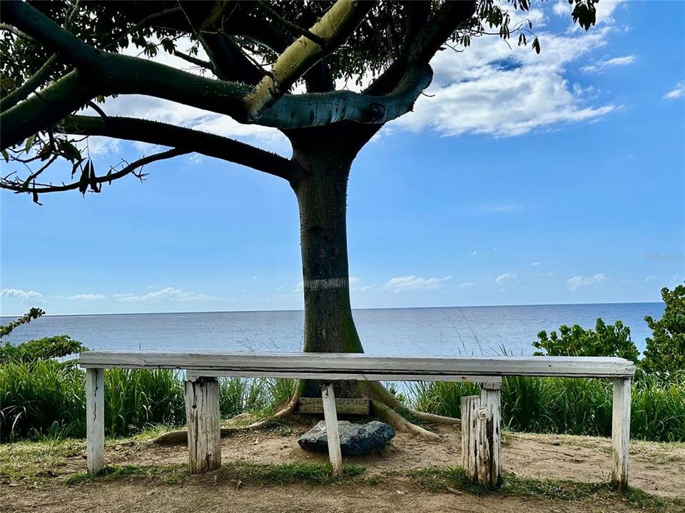 На продажу: $325,000 (4.11 acres)