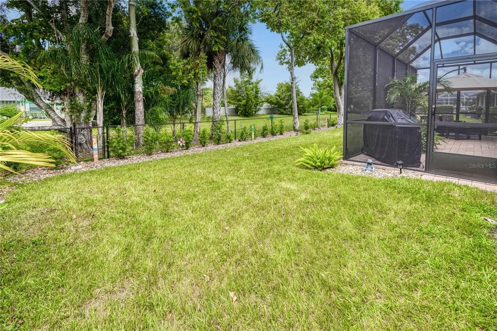 Spacious, Landscaped, Fenced Back Yard