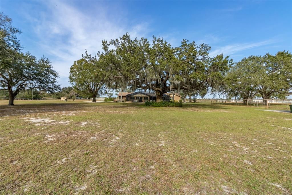 Beautiful oak trees adorn the property.