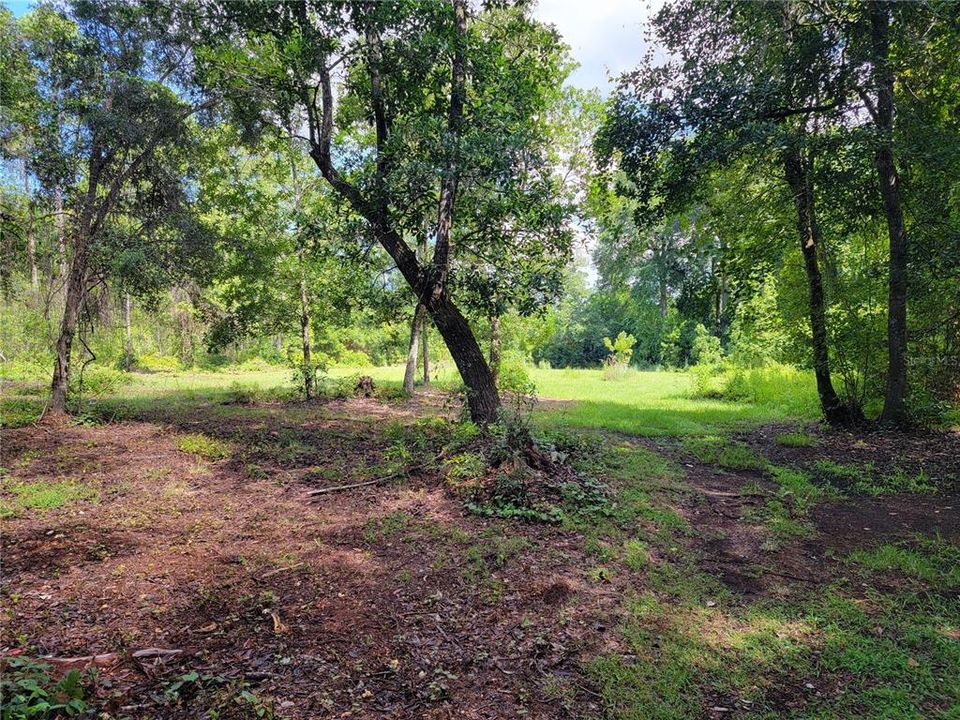 En Venta: $165,000 (17.85 acres)