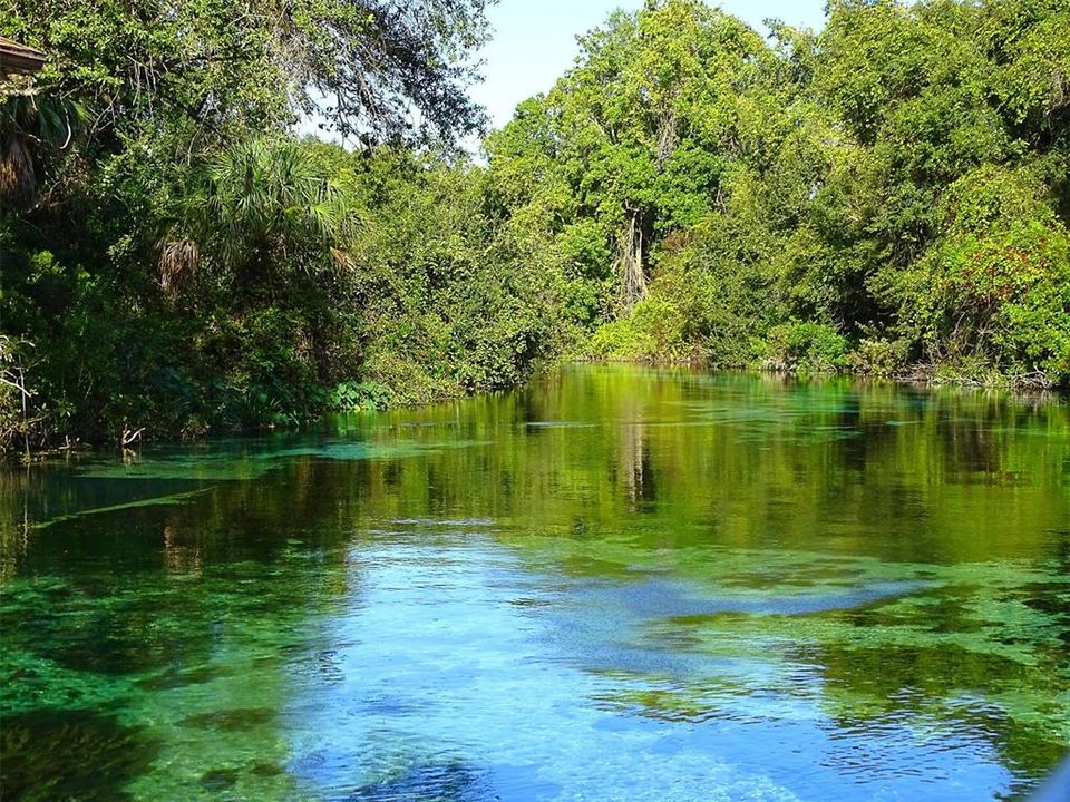 Weeki Wachee Springs