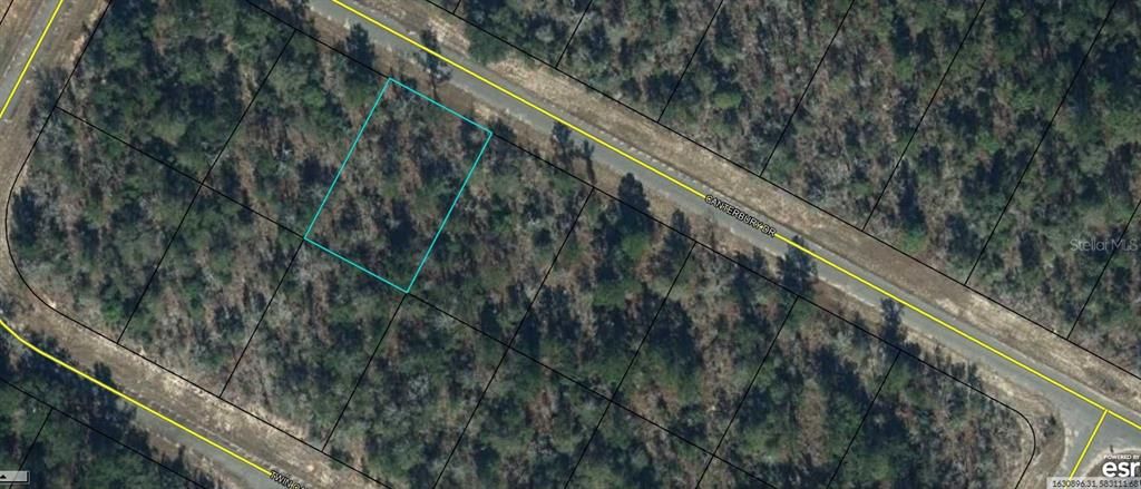 For Sale: $5,250 (0.23 acres)