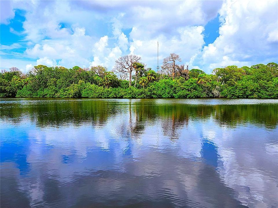 On the lake