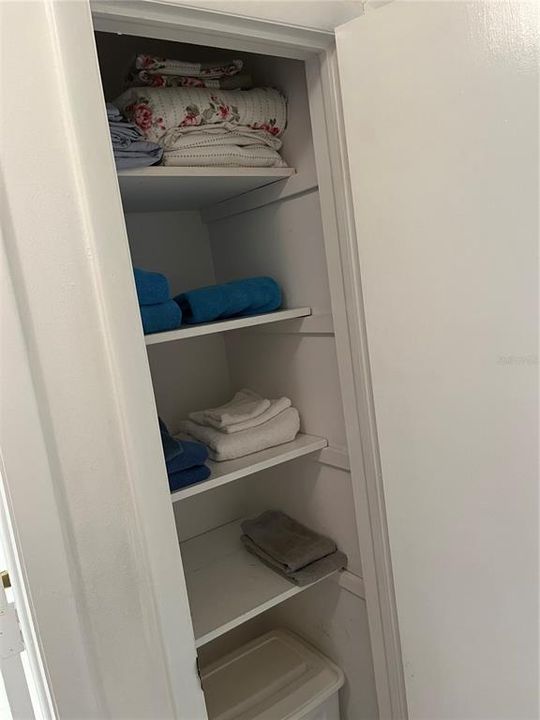 Large linen Cupboard in Hallway