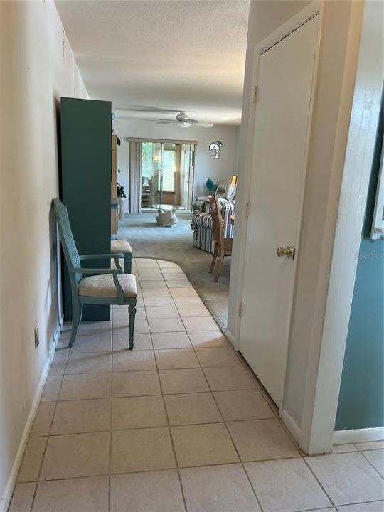 Hall Foyer from Entrance looking to Living Room/Dining Area