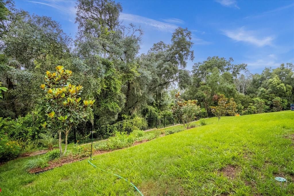 Backyard view-Private Oasis