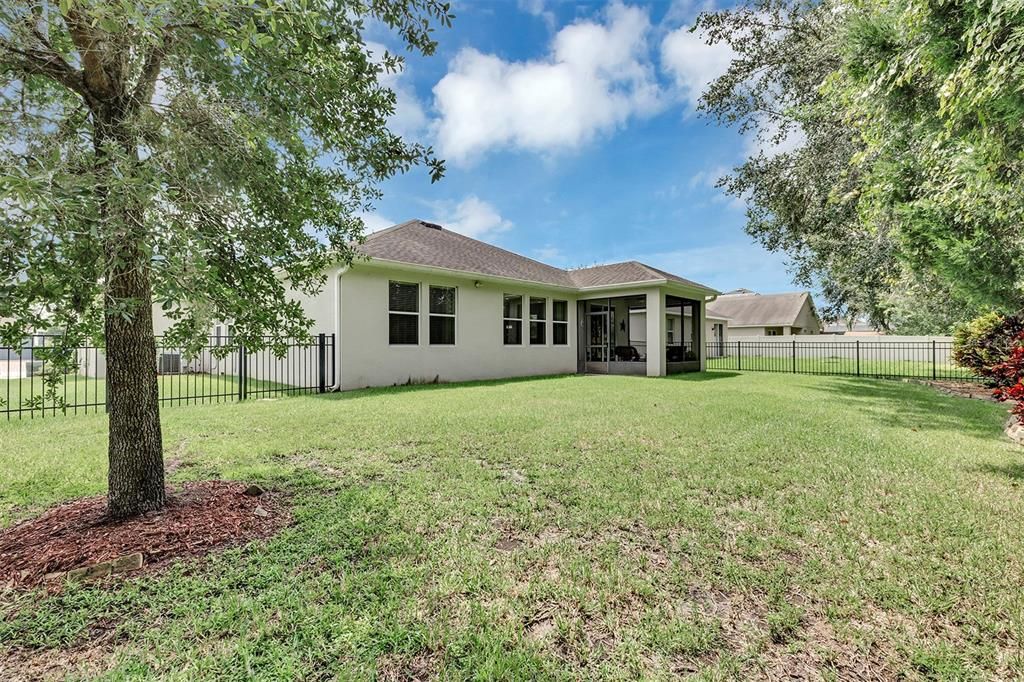 Fenced back yard