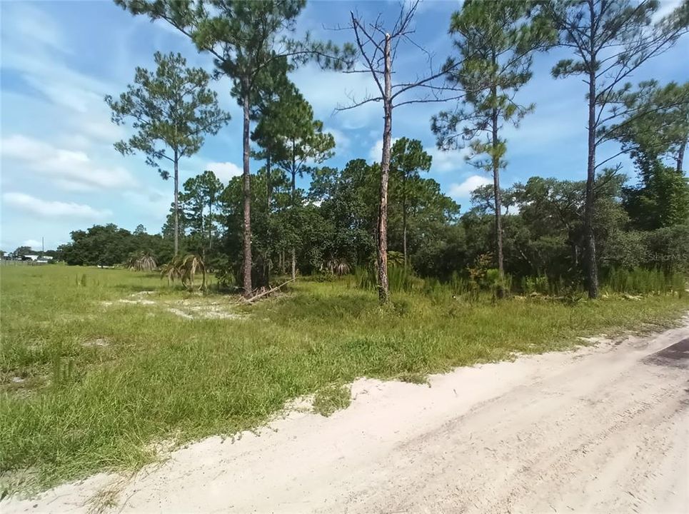 For Sale: $109,999 (2.50 acres)