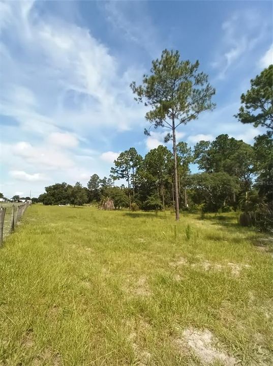 For Sale: $109,999 (2.50 acres)