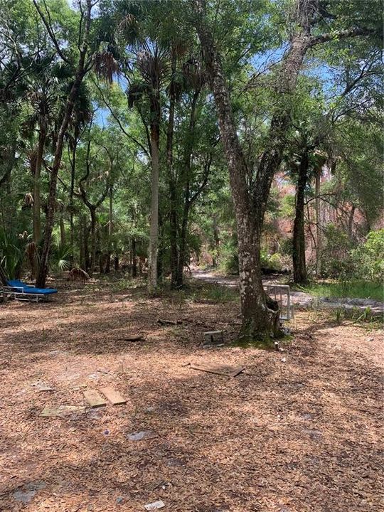 En Venta: $59,000 (5.19 acres)