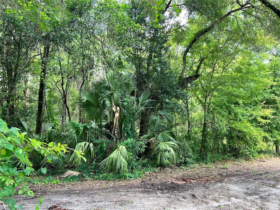 En Venta: $60,000 (0.50 acres)