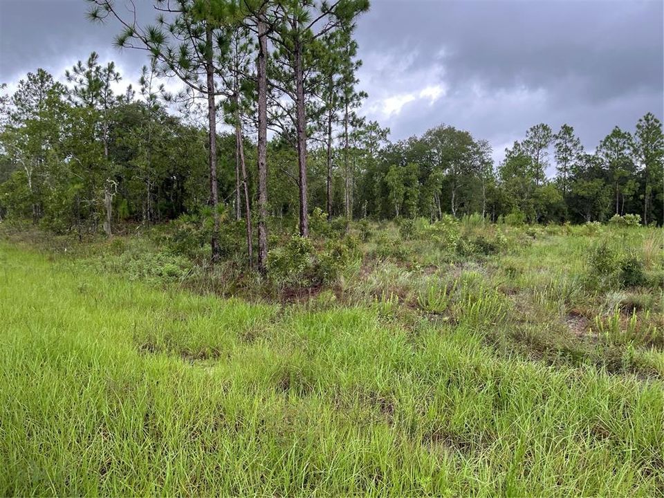 Active With Contract: $60,000 (1.12 acres)