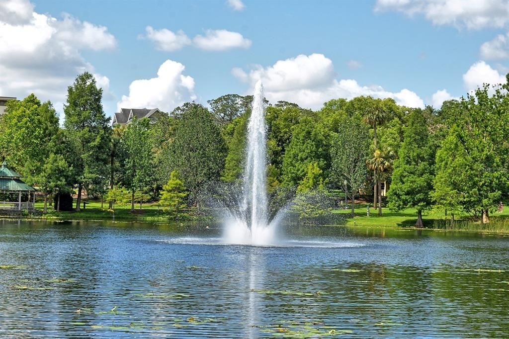 Lake Lily home to walking trail and weekly farmers market