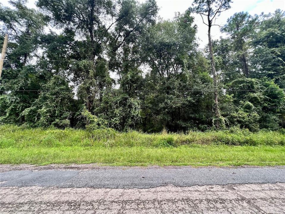 En Venta: $39,000 (0.34 acres)