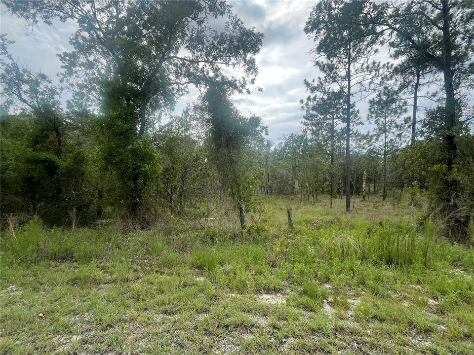 Active With Contract: $21,250 (1.00 acres)