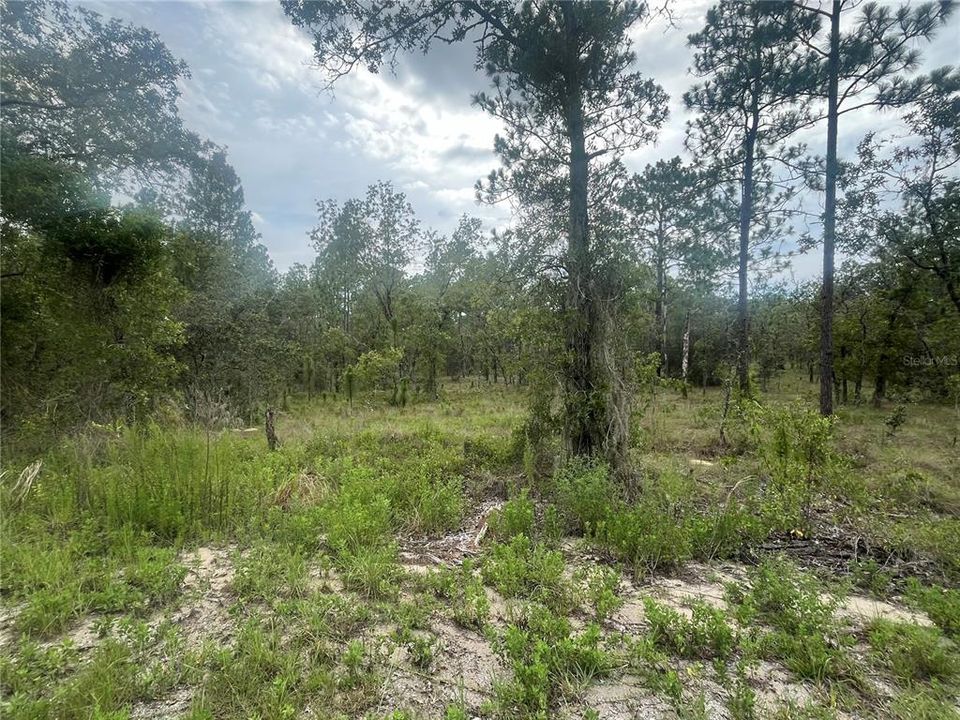 Active With Contract: $21,250 (1.00 acres)