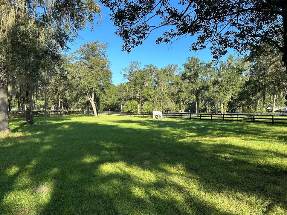 north pasture towards street