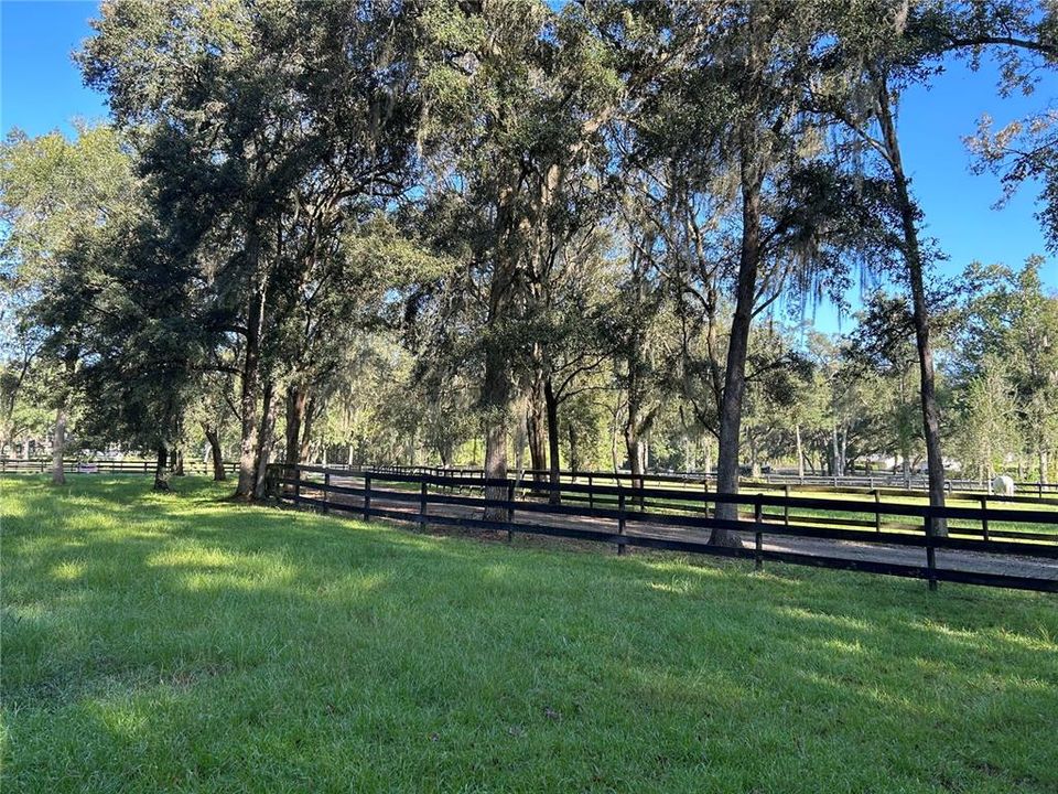 south pasture towards street