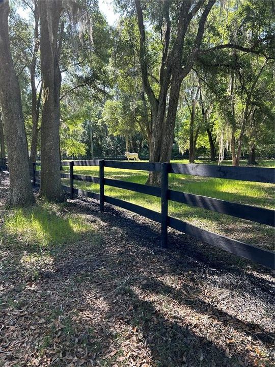 south pasture towards house