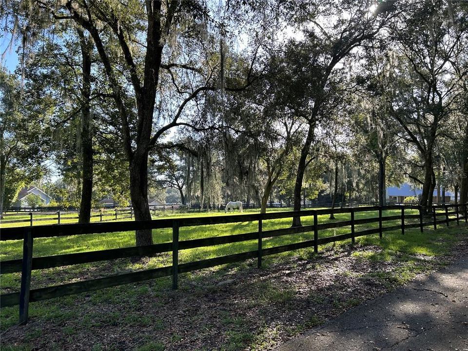 north pasture towards house