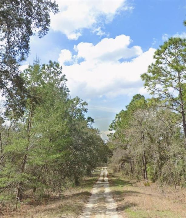 For Sale: $149,995 (3.16 acres)