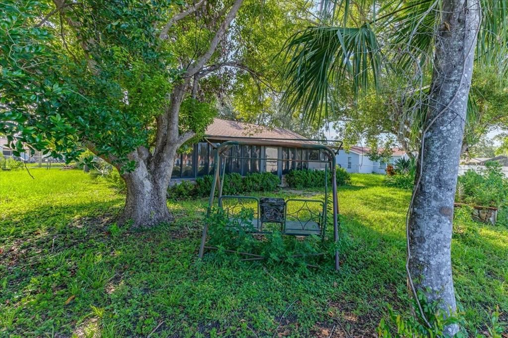 Fenced Backyard